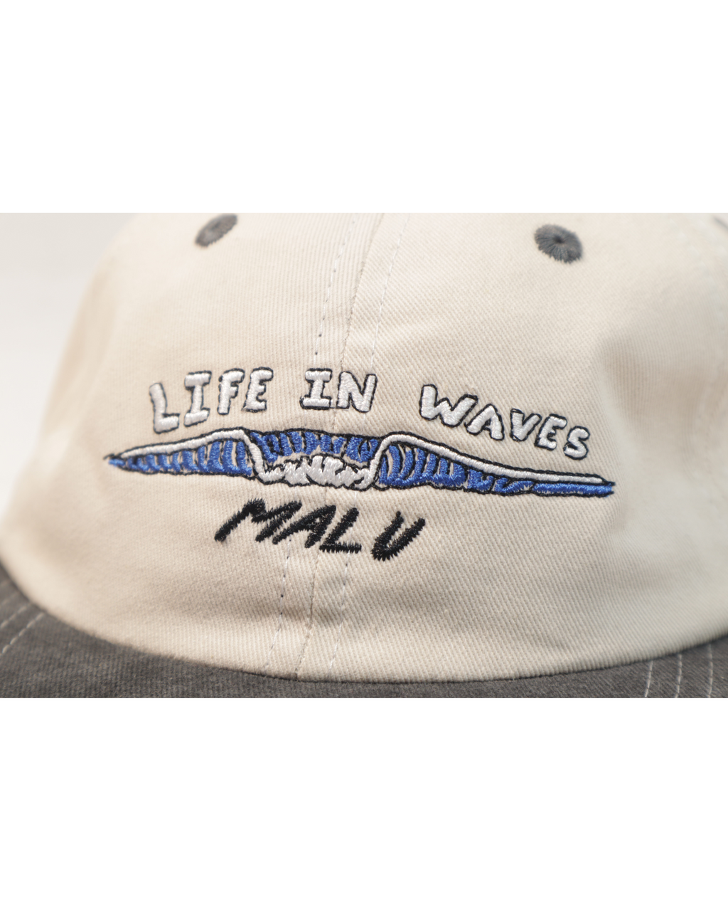 Life in Waves Cap